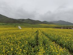 -扁都口生态休闲旅游区