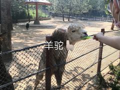 -大连森林动物园