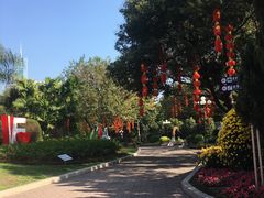 -东风公园
