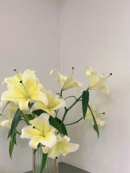 -Fr美发沙龙