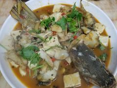 -煲来饱去冷水鱼