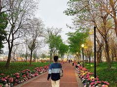 -茶人村·前滩江景雅宴(上海首店)