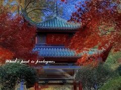 -岳麓山风景名胜区