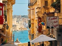 -上巴拉卡花园和下巴拉卡花园