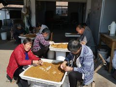 -苏州市吴中区光福窑上花果蜜饯厂