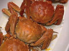 -大东海海鲜酒楼(渔人码头总店)