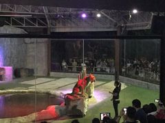 -清迈夜间动物园