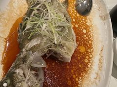 -侨美·唐荔园·40年地道粤菜