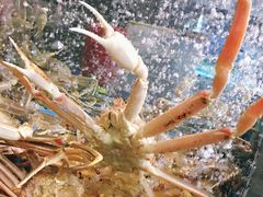 -徐记海鲜(大明宫|北二环店)