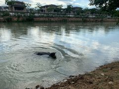 -杭州双溪漂流景区