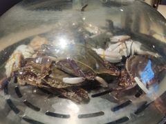 -蓝珊甄选海鲜自助·火锅大排档(近阿那亚店)