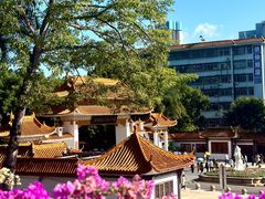 -深圳仙湖植物园