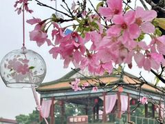 -宝墨园景区