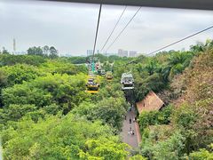 -广州长隆野生动物世界