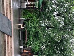 -尚庄度假村·庭台树下·户外烧烤·团建CS·轰趴营地(上庄水库店)