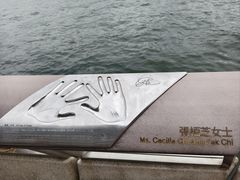 -星光大道