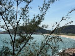 -广东惠东海龟国家级自然保护区