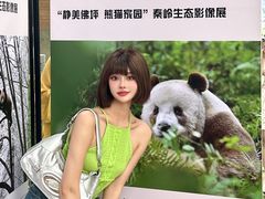 -西安电影制片厂