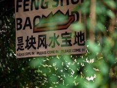 -茗情傣味