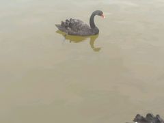 -蓬莱欧乐堡梦幻世界