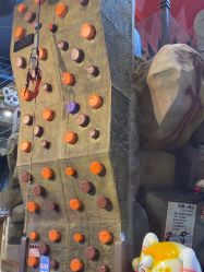 -卡通尼·Safari非洲探索乐园·生日会(金桥国际商业广场店)