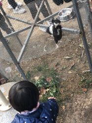 -萌宠亲子动物乐园(槐房万达店)