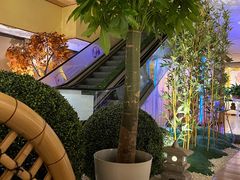 -汤泉良子(金源店)