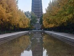 -玲珑塔公园