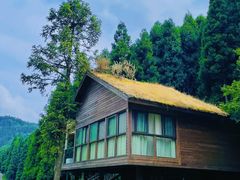 -武陵山森林公园