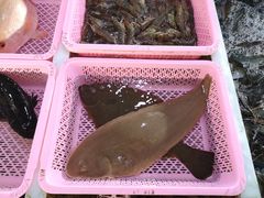 -大湾区中央湿地公园-十九涌