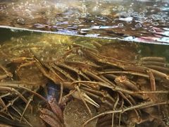 -蟹之国·精品蟹料理(极地店)