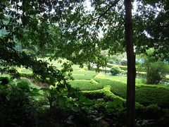 -广州中山纪念堂