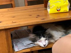 -上海特色小笼店(铁岭路90弄小区店)