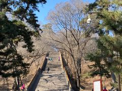 -沈阳市东陵公园