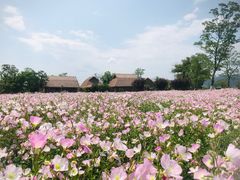 -良渚古城遗址公园