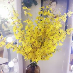 -Yue Show馨选·半永久纹眉纹眼线