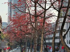 -烈士陵园(地铁站)