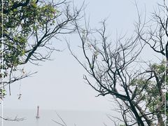 -巢湖姥山岛
