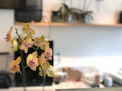 -SLOWOOD 咖啡餐食