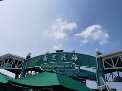 -荷兰花海