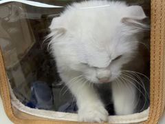 -美联众合动物医院·24h转诊中心
