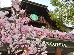 -星巴克臻选(思南公馆店)
