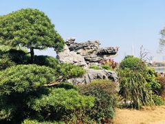 -海珠湖公园