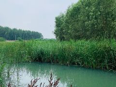 -东郊湿地公园