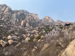 -北京凤凰岭