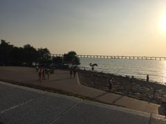 -宝安西湾红树林湿地公园