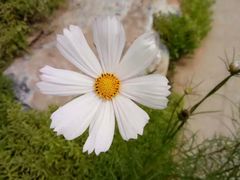 -武清南湖绿博园