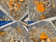 -安蒂娅·海鲜自助餐厅(安蒂娅美兰酒店)