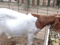 蓝地时尚庄园-蓝地时尚庄园(北京清河营地铁站店)