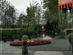 -合肥滨湖国家森林公园